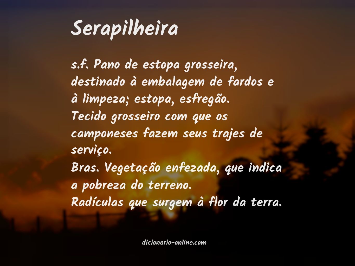 Significado de serapilheira