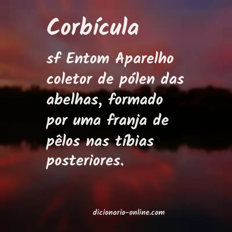 Significado de corbícula