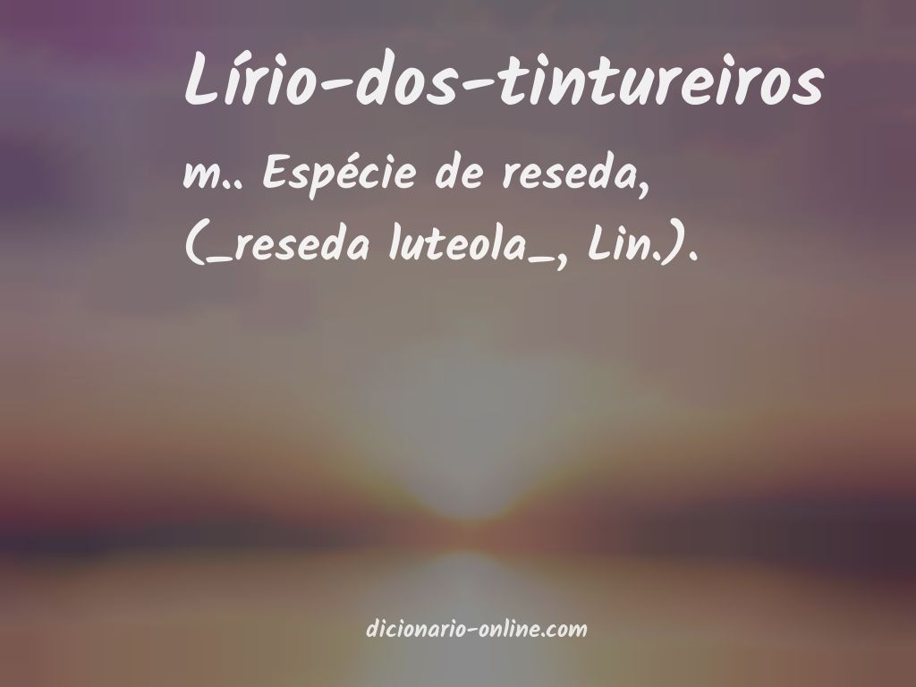 Significado de lírio-dos-tintureiros