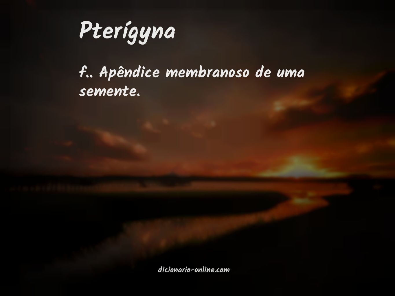 Significado de pterígyna