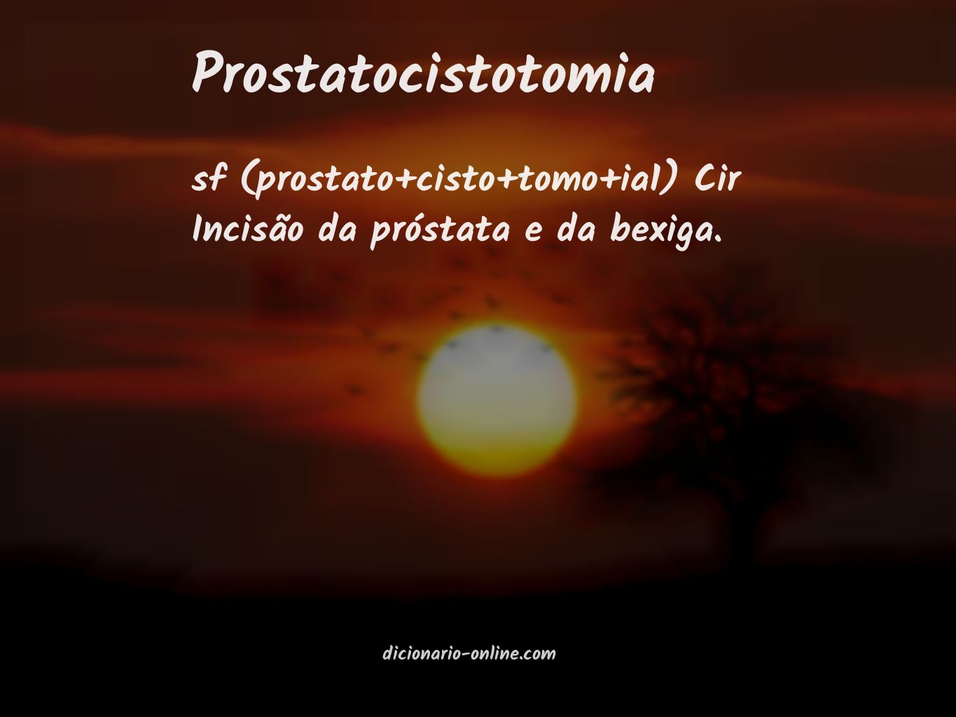 Significado de prostatocistotomia