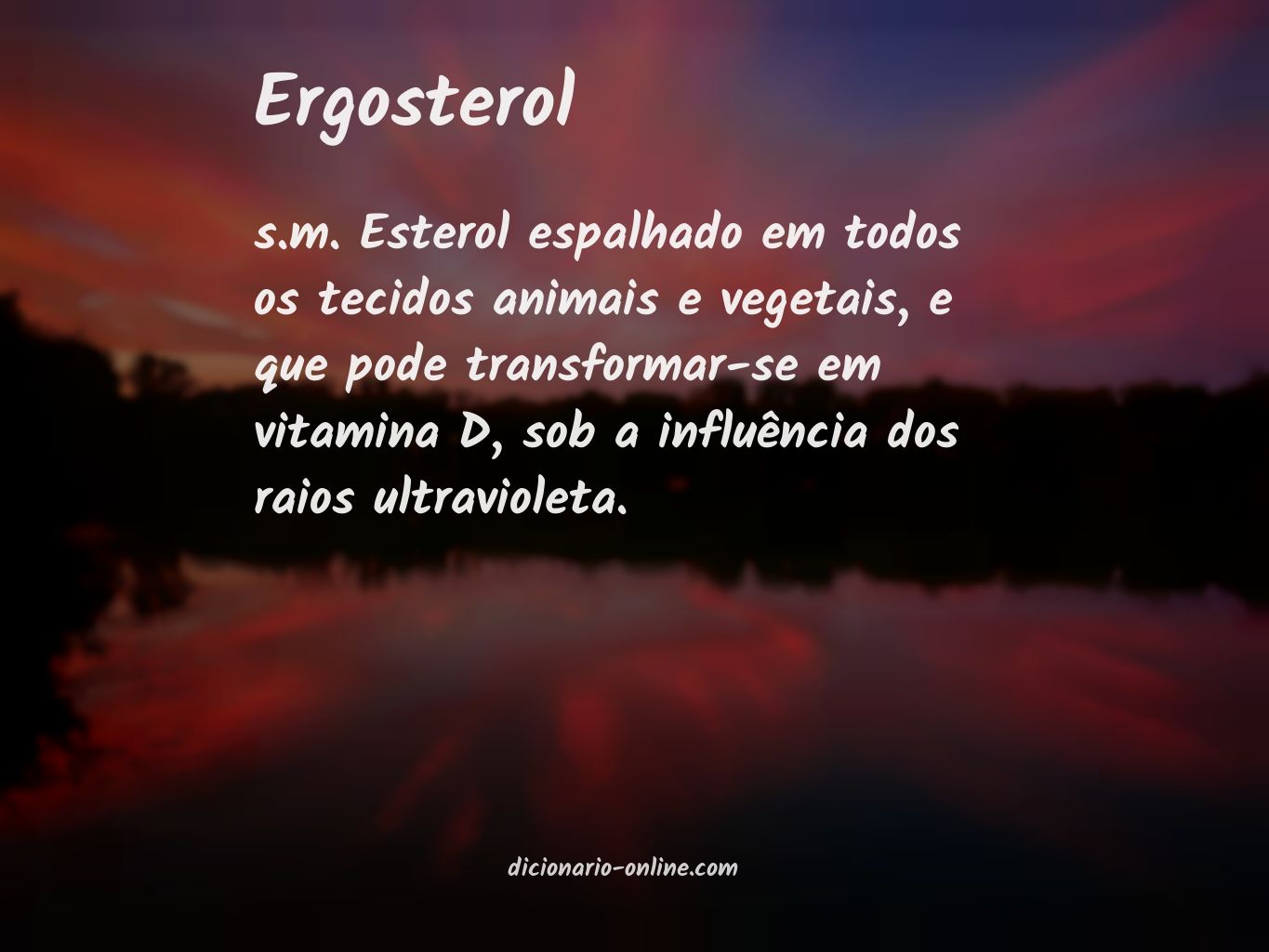 Significado de ergosterol