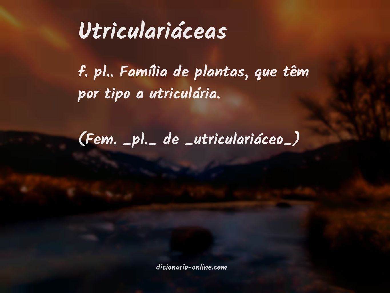 Significado de utriculariáceas