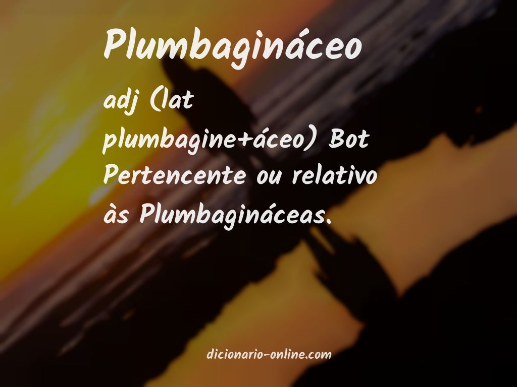 Significado de plumbagináceo