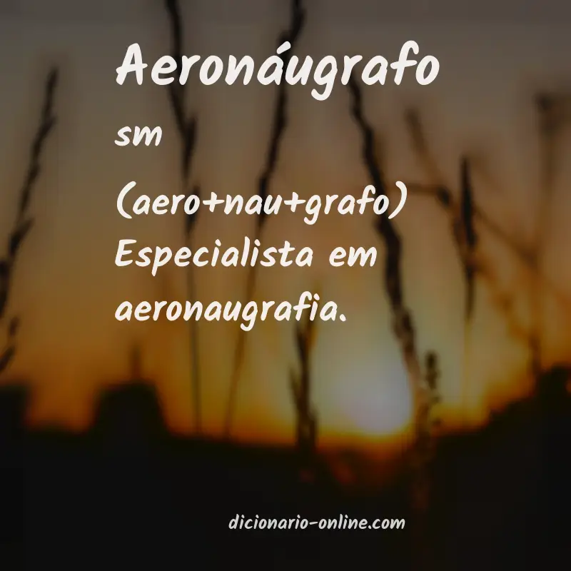 Significado de aeronáugrafo