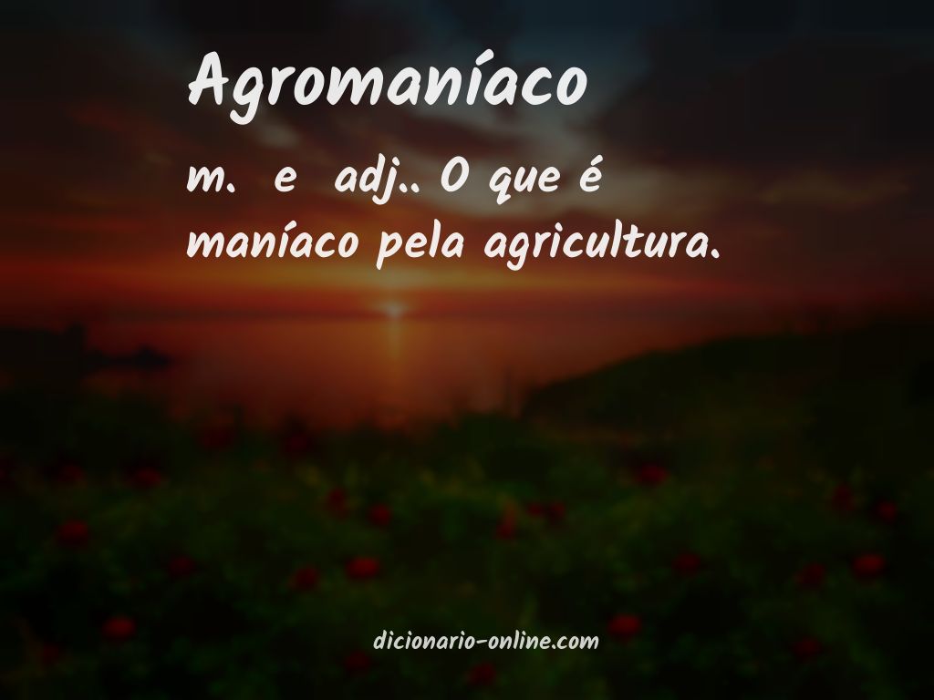 Significado de agromaníaco