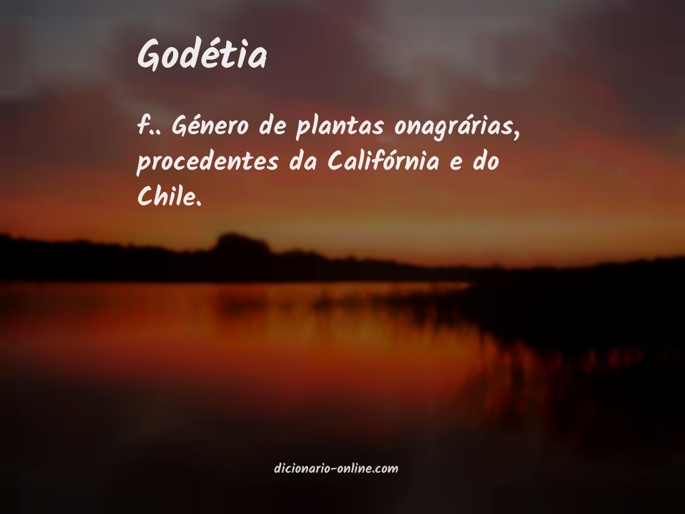 Significado de godétia