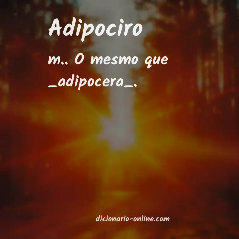 Significado de adipociro