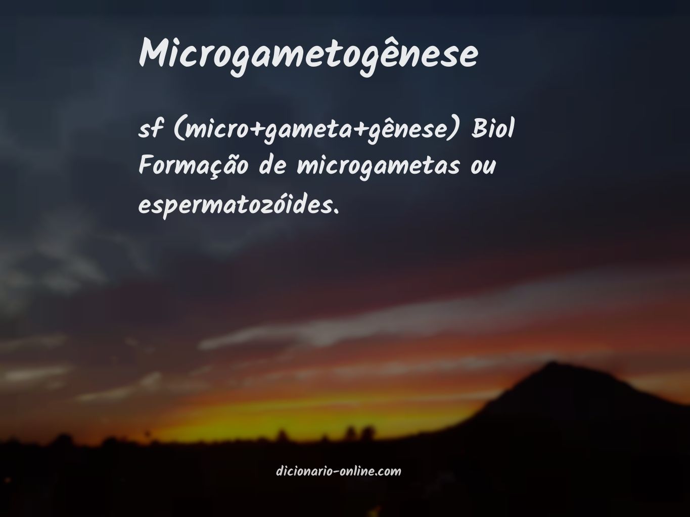 Significado de microgametogênese