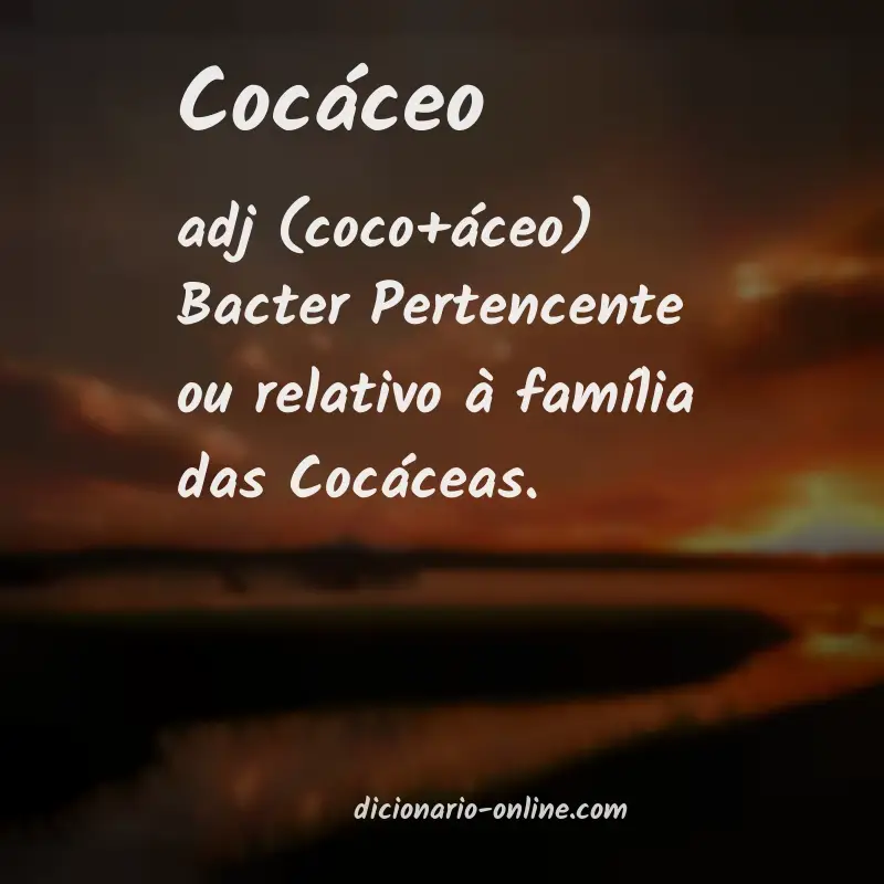Significado de cocáceo
