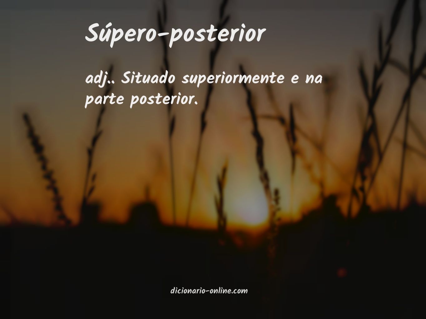 Significado de súpero-posterior