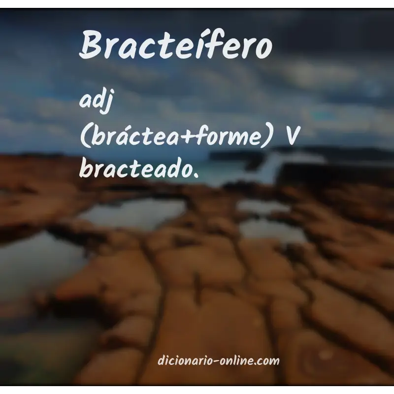 Significado de bracteífero