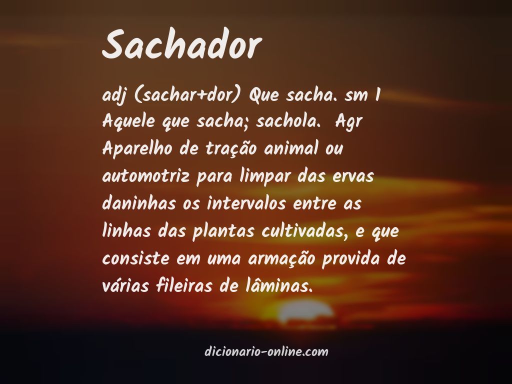 Significado de sachador