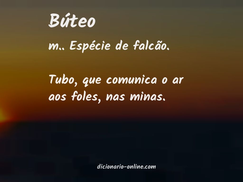 Significado de búteo