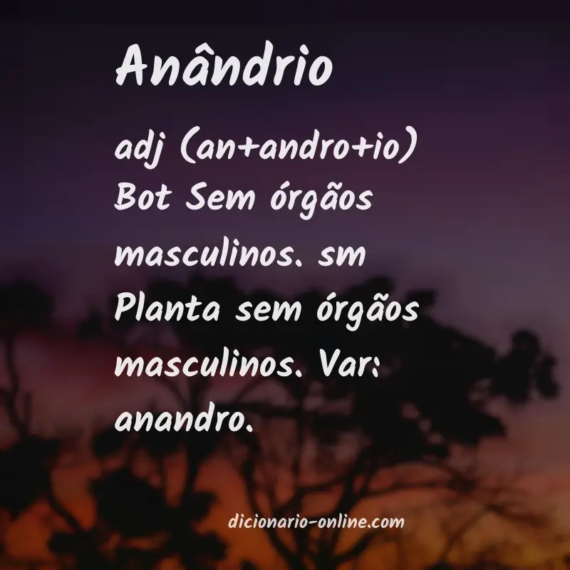 Significado de anândrio