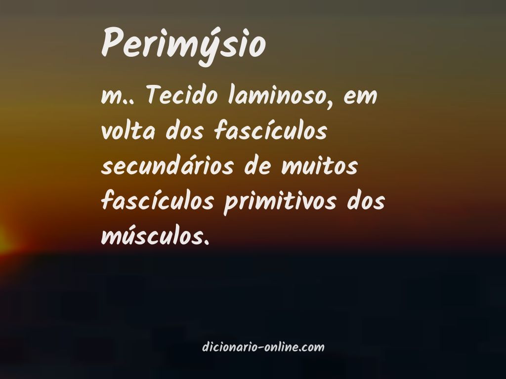 Significado de perimýsio