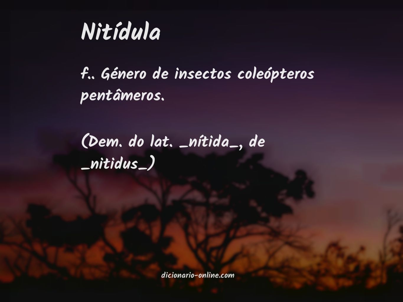 Significado de nitídula