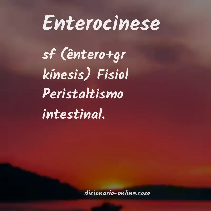 Significado de enterocinese