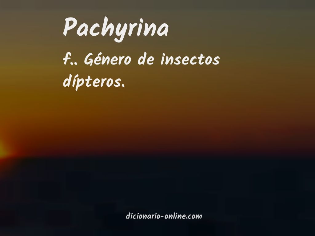 Significado de pachyrina