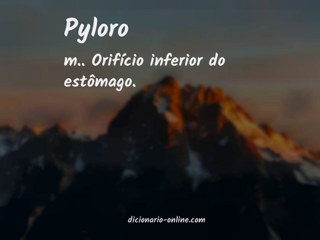 Significado de pyloro