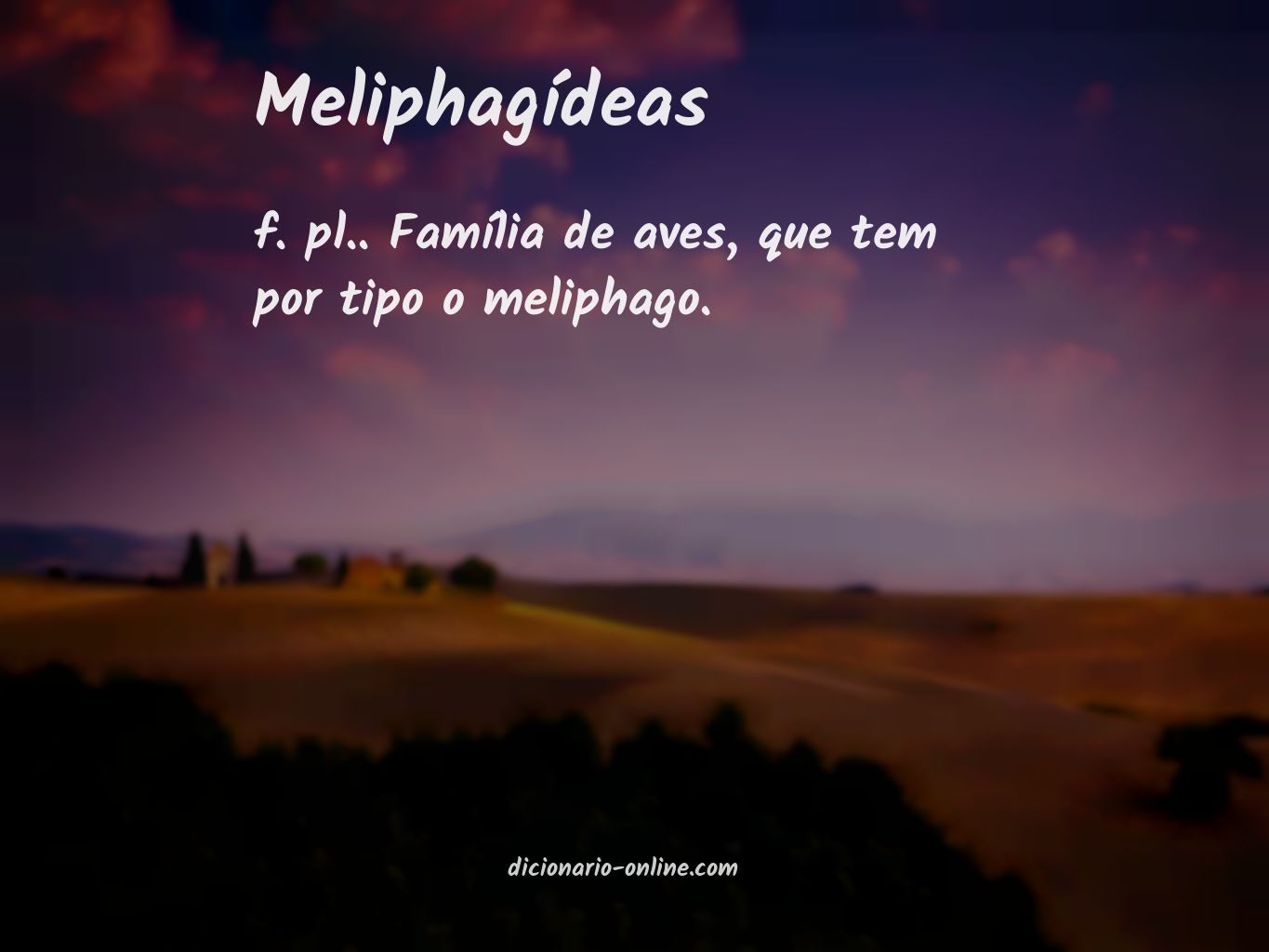 Significado de meliphagídeas