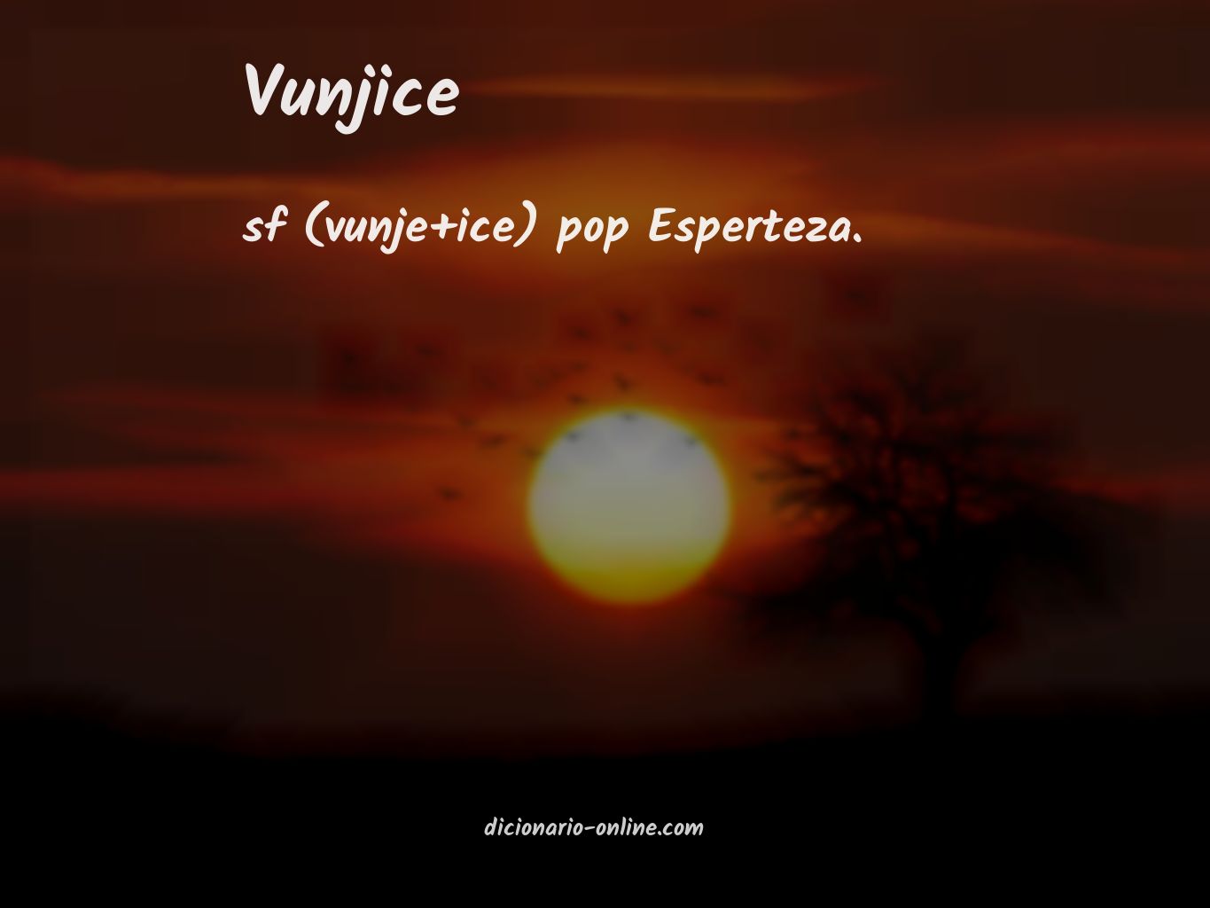 Significado de vunjice