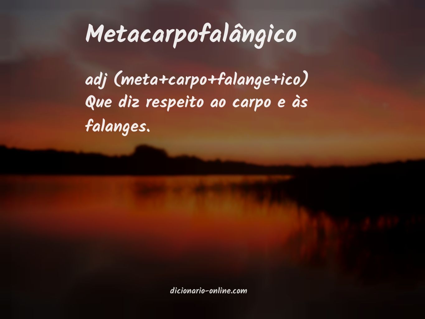 Significado de metacarpofalângico