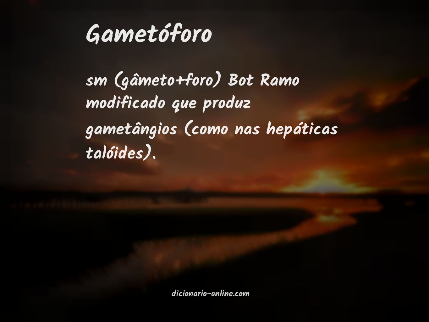 Significado de gametóforo