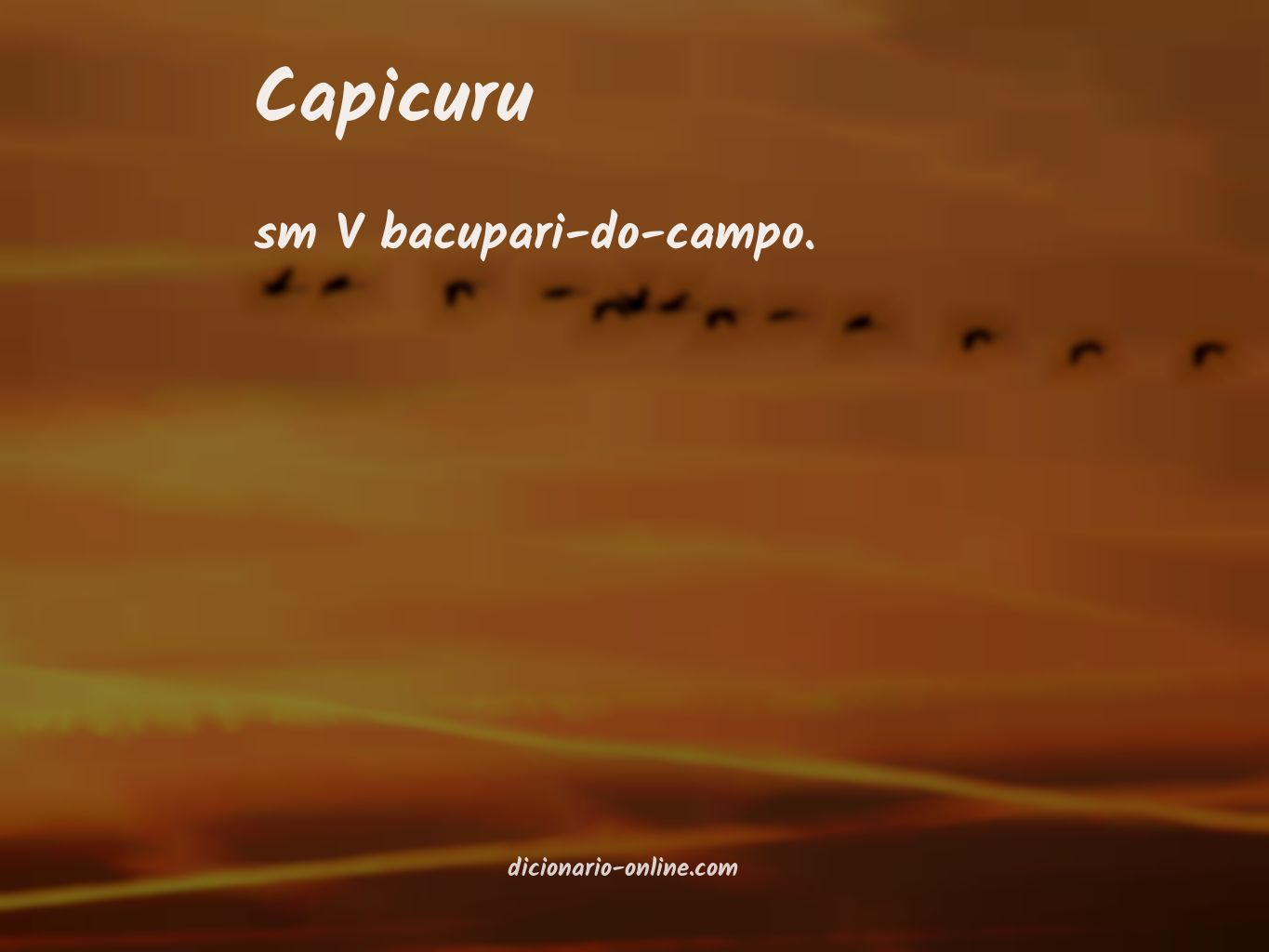 Significado de capicuru