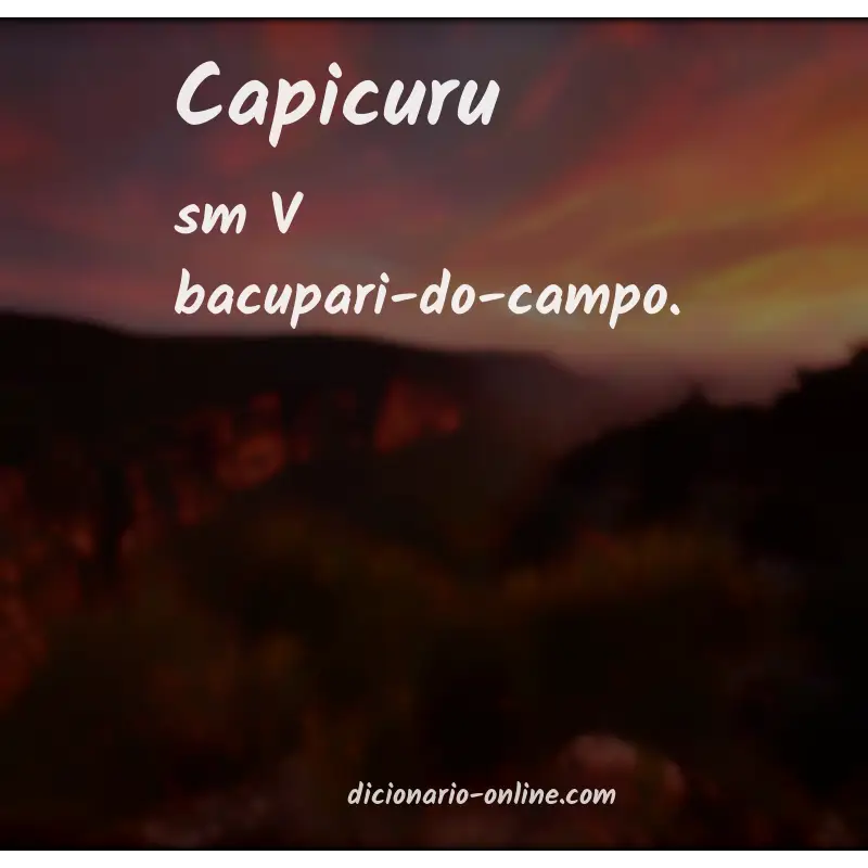 Significado de capicuru