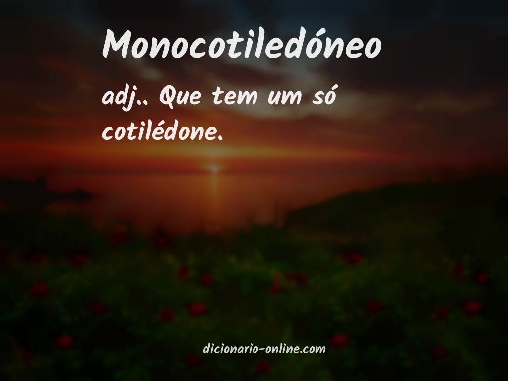 Significado de monocotiledóneo