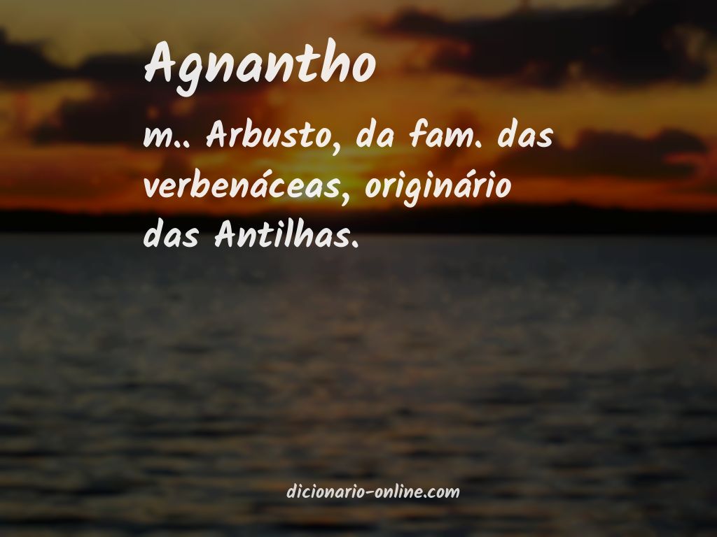 Significado de agnantho