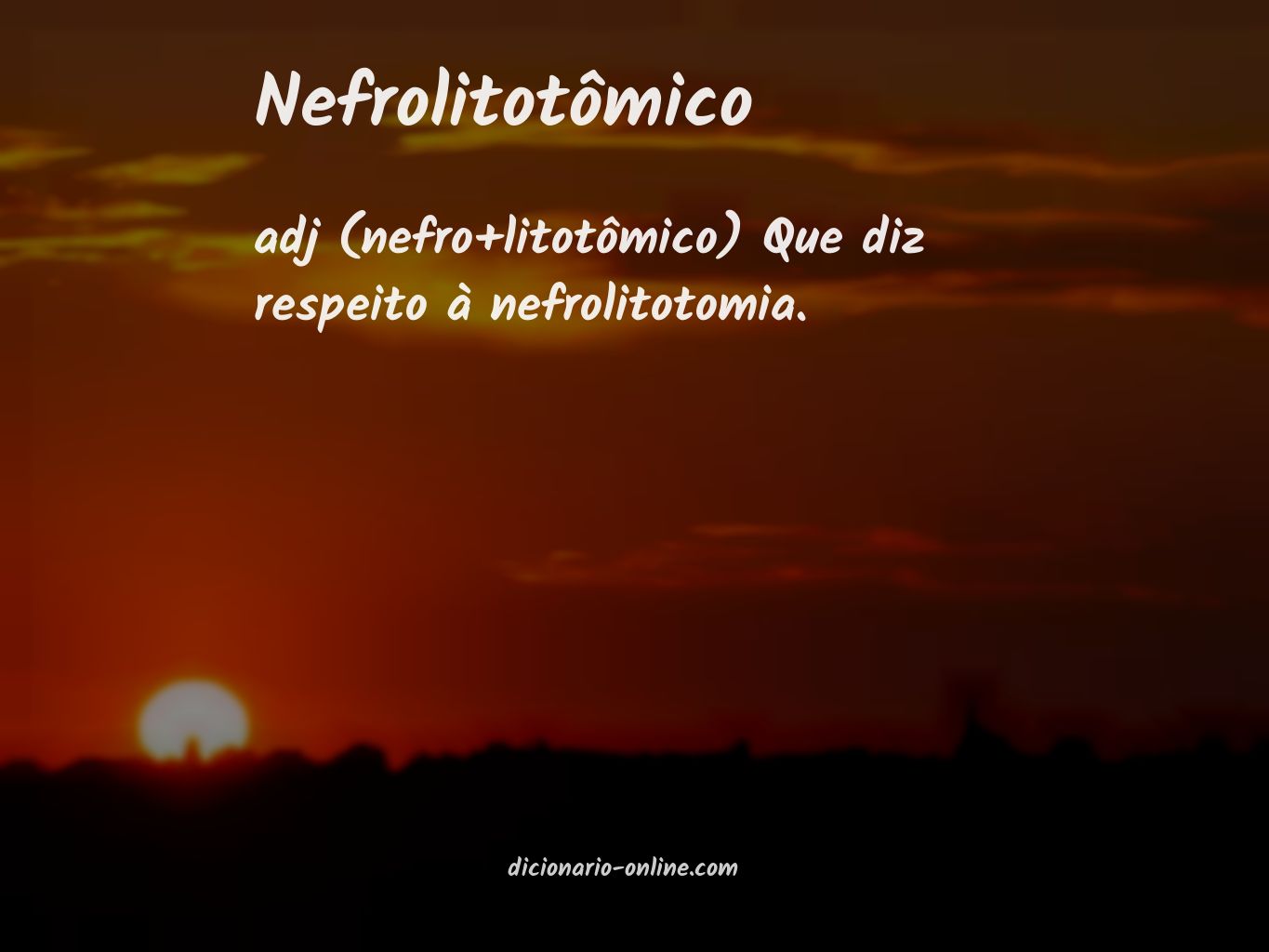 Significado de nefrolitotômico