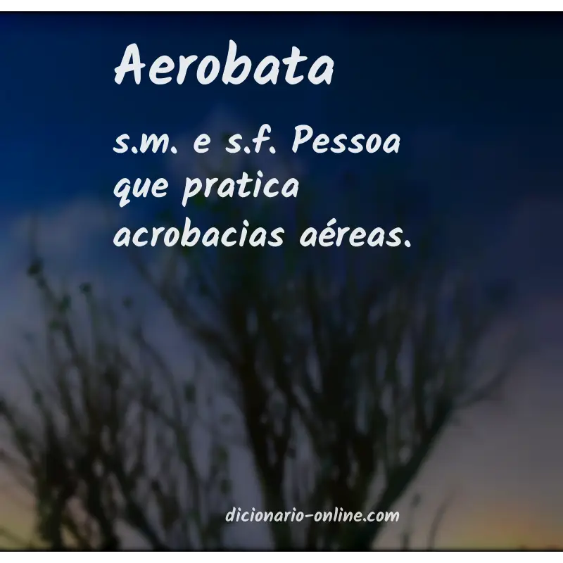 Significado de aerobata