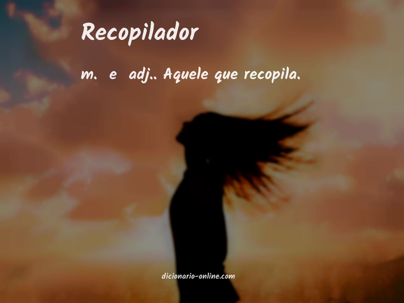 Significado de recopilador