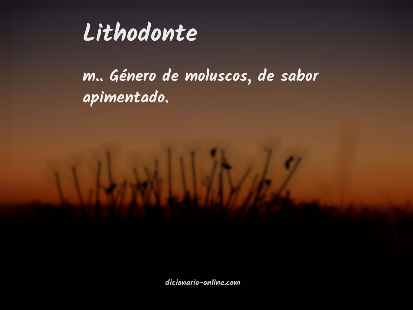 Significado de lithodonte