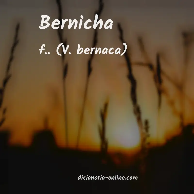 Significado de bernicha