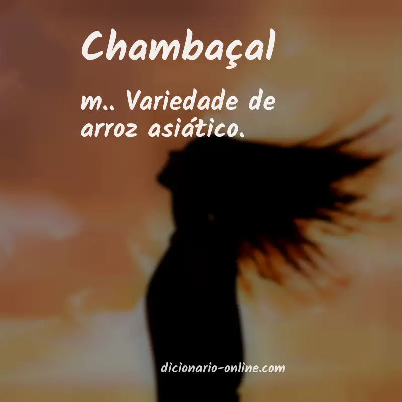 Significado de chambaçal