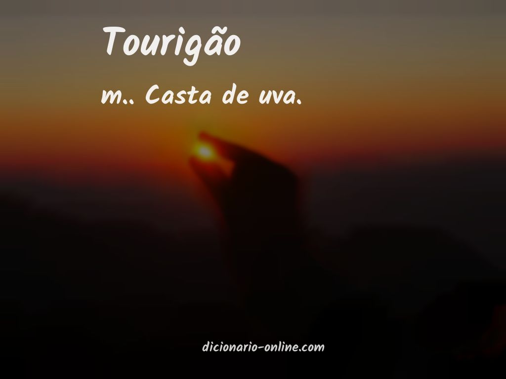 Significado de tourigão