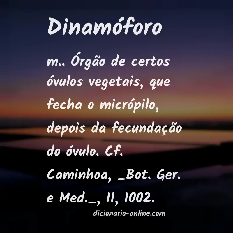 Significado de dinamóforo
