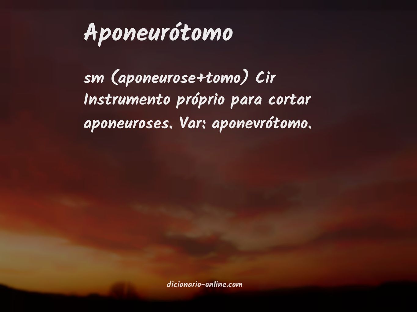 Significado de aponeurótomo