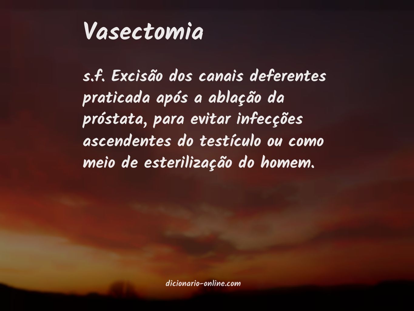 Significado de vasectomia