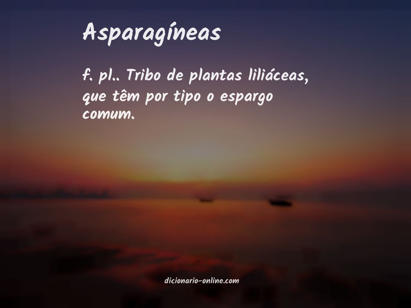 Significado de asparagíneas