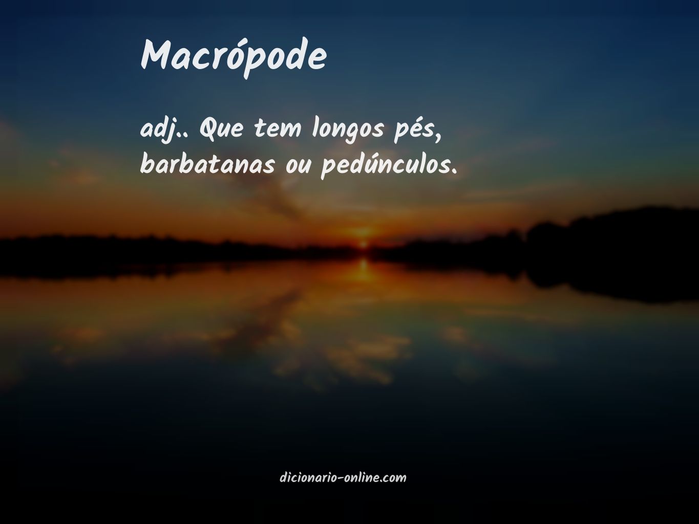 Significado de macrópode