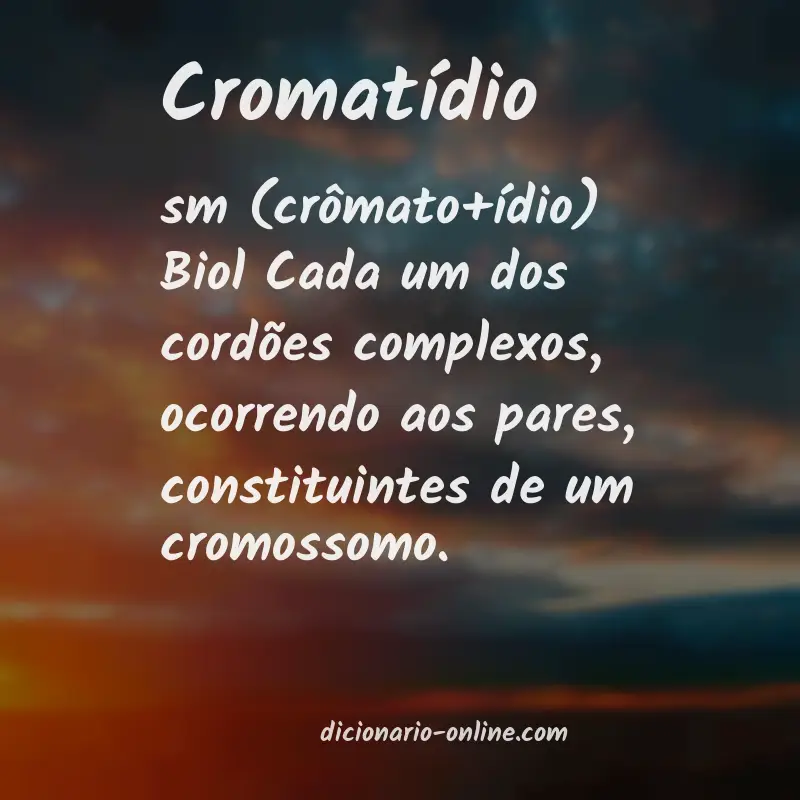 Significado de cromatídio