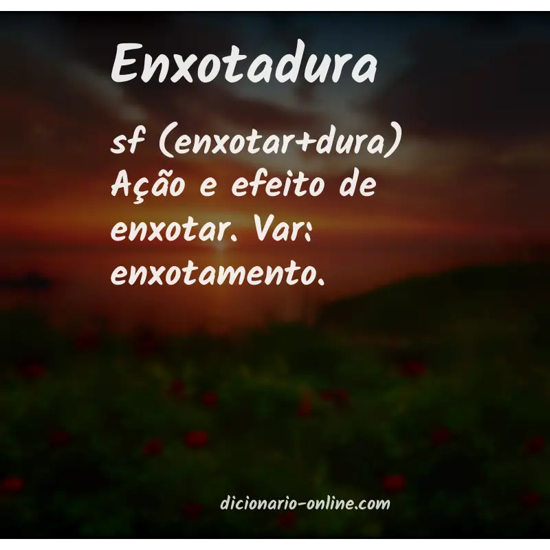 Significado de enxotadura