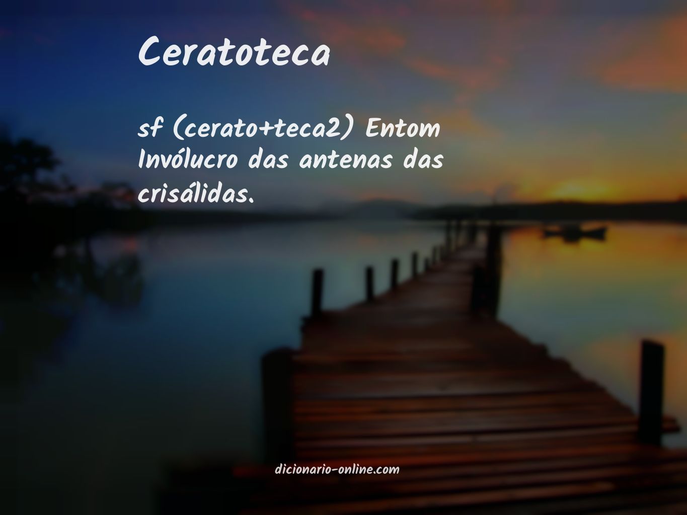 Significado de ceratoteca