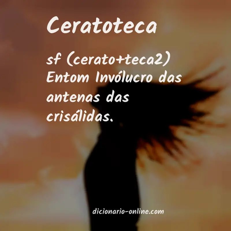 Significado de ceratoteca