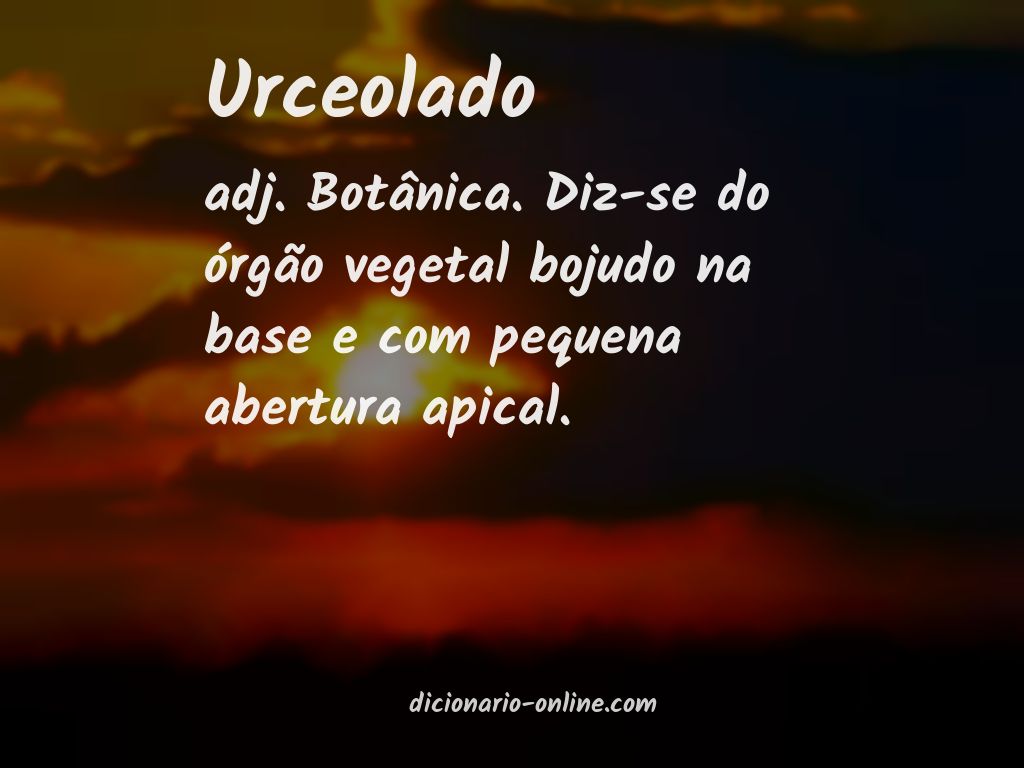 Significado de urceolado