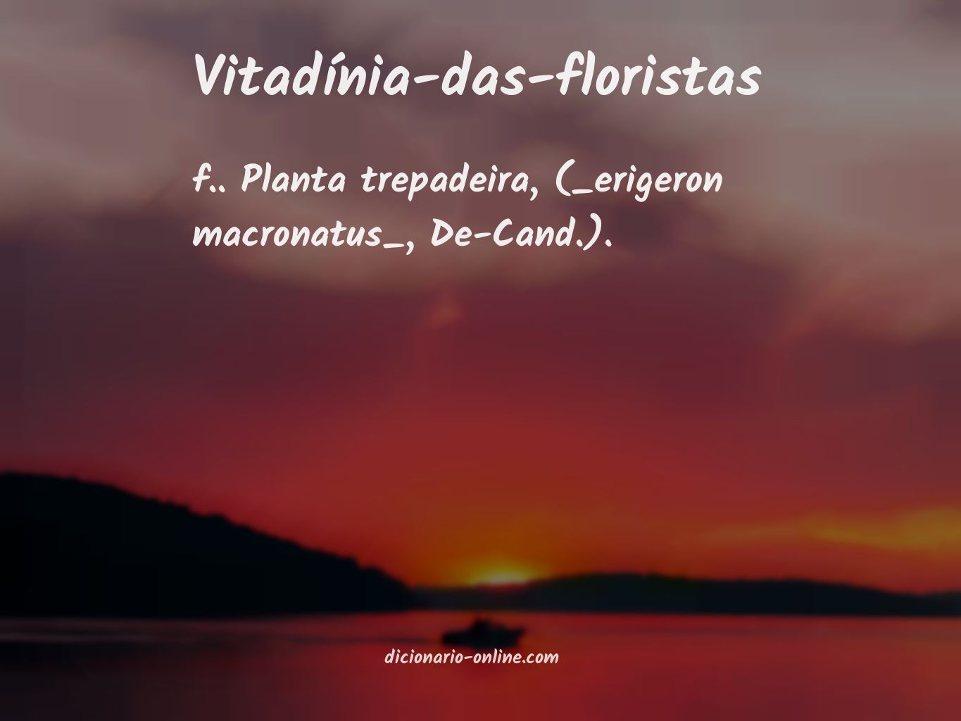 Significado de vitadínia-das-floristas